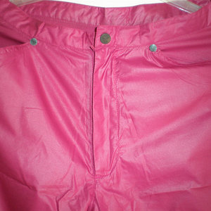 Shiny Venice Beach pants