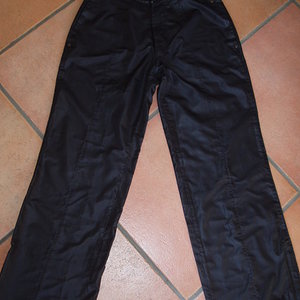 Shiny Venice Beach pants