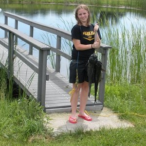 6729 150542809907 5965402 N