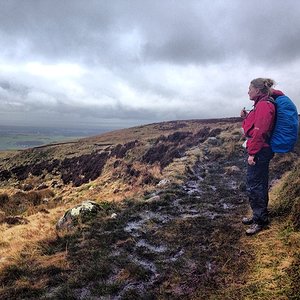 6bec1c5a9a4811e3825e12d74921a67b 8