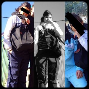 lacoste 2336333335 1