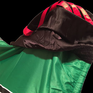 nylon shorts - adidas on nike 2