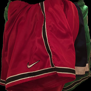 nylon shorts -3 of them