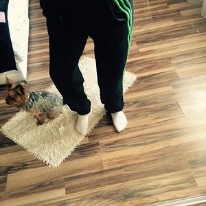 Adidas black/green pants