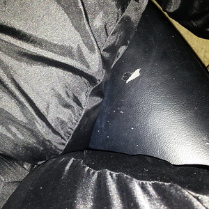 2016-12-21 04.11.24.jpg