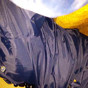 2016-12-25 05.59.55.jpg