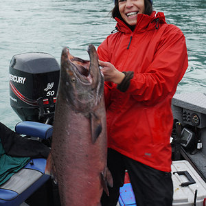 4901469959 8db94c5583 O