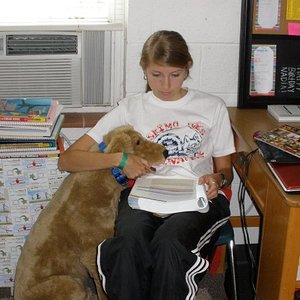 Adidas black pants dog time