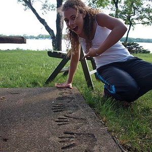 36931 1482100247829 1093502184 1358189 6287740 N