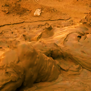 Let's get swishy muddy and fuk