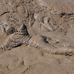 Adidas jumpsuit in mud