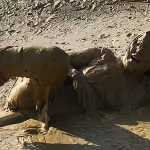 Plus size lady in Adidas jumpsuit