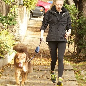 amanda-seyfried-gallery