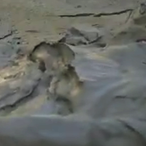 I also do this on the side.