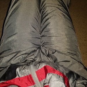 remixedcat shiny silver