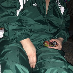 Green adidas tracksuit