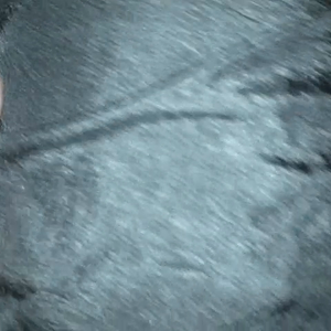 VID_20190628_100956.mp4