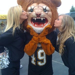 18632 250917790751 183290655751 4413714 7567200 N