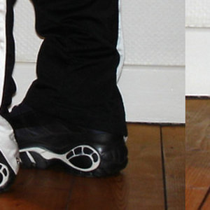 adibreak Mit buffalos