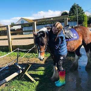 Blue gilet girl with horse