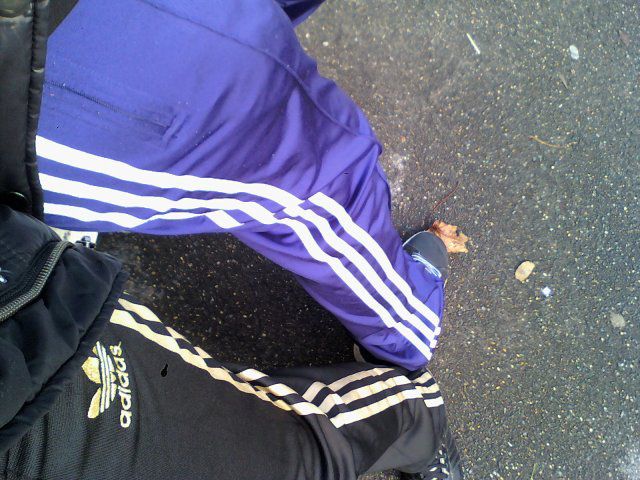 2 adidas pants