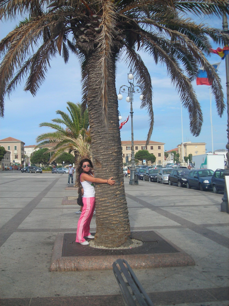 2232539315 957fe49fa4 B