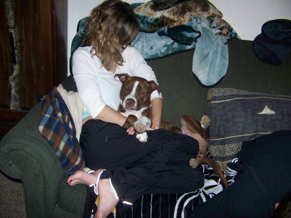 541809 10151385700017848 673289296 N