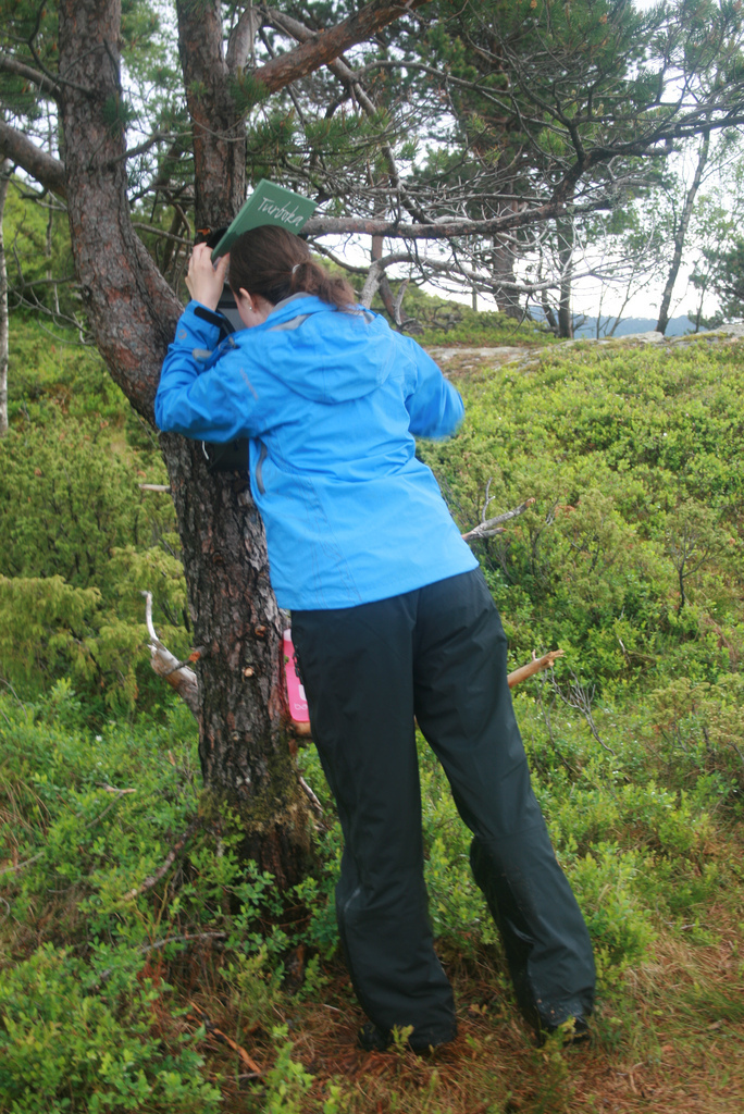 6285922621 db4b450ac9 B