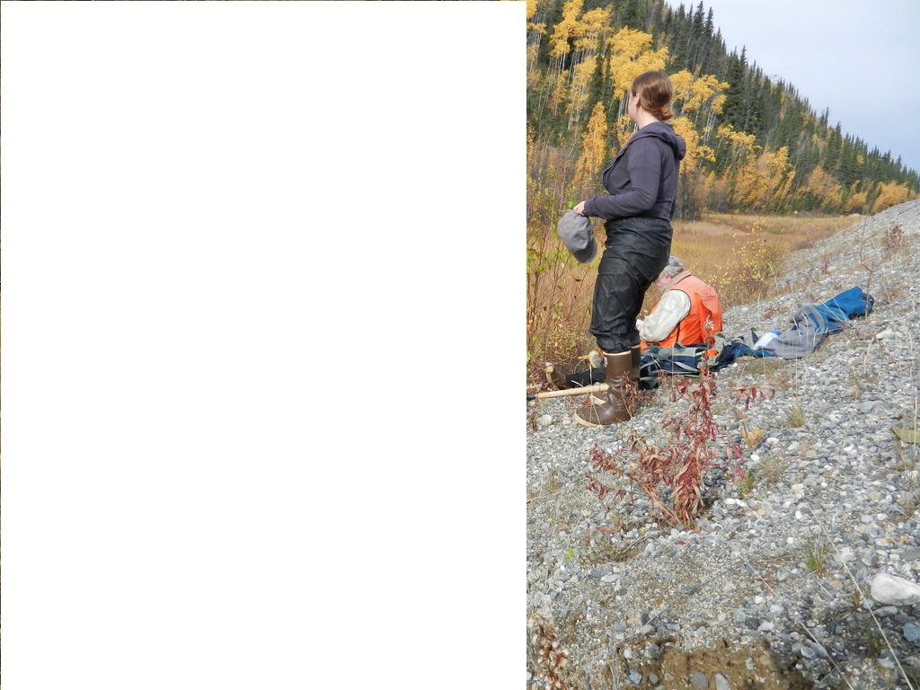 6972147916 49de3e4415 B