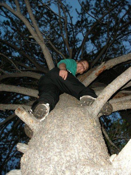 Adidas black pants tree climbing