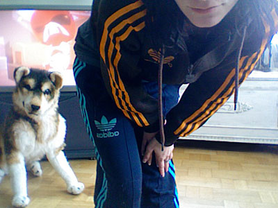 Adidas womens blue pants black Adidas top clash