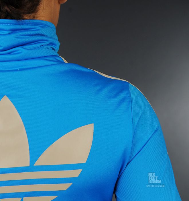 blue and grey firebird back logo