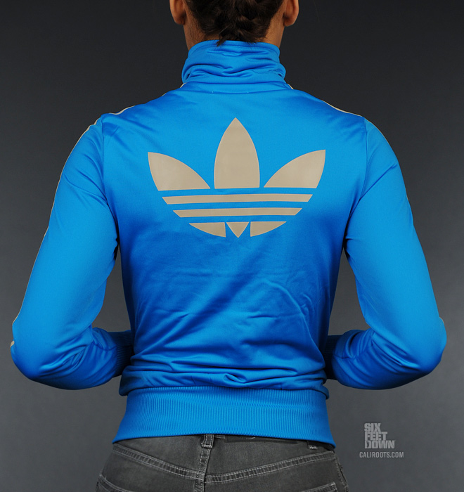 blue and grey firebird