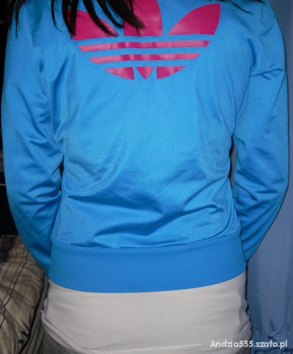 Blue and pink Firebird back