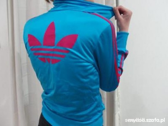 blue and pink firebird