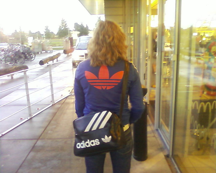 Blue and red Firebird