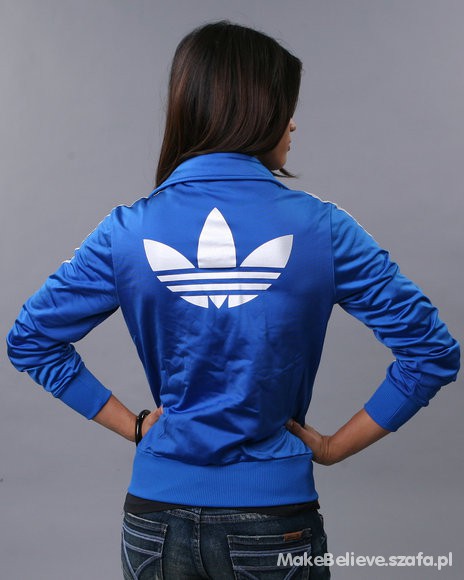 blue and white firebird