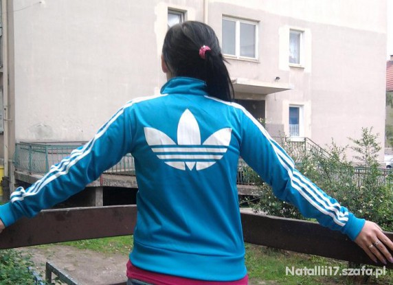 blue and white firebird