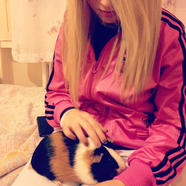 Chile with hamster