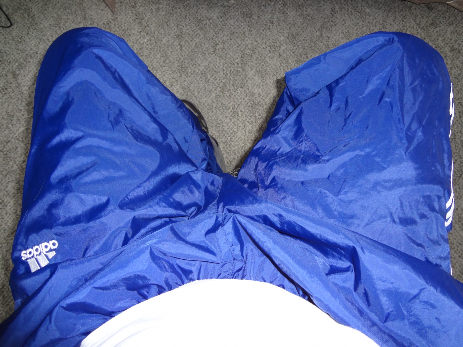 gallery 333 231 626370 king 47