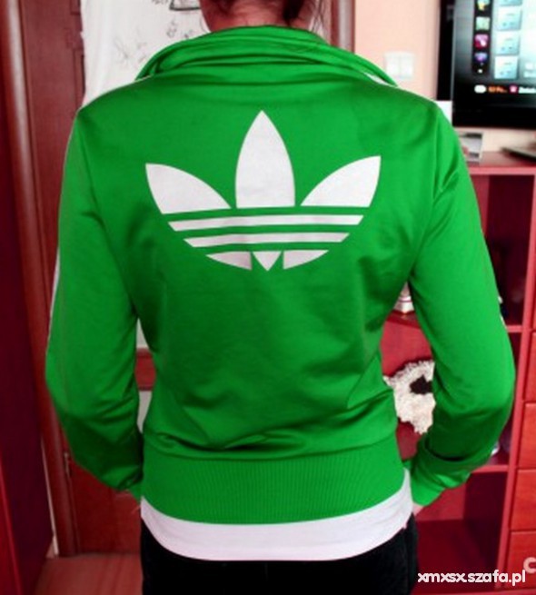 green and white firebird