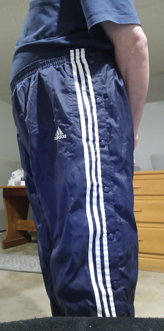 Me in my Dark Blue Adidas Nylon Pants with my hands behind my back 3