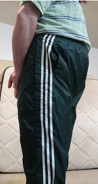 Me in my Medium Forest Green Adidas Nylon Pants (with my hands behind my back) 4.png