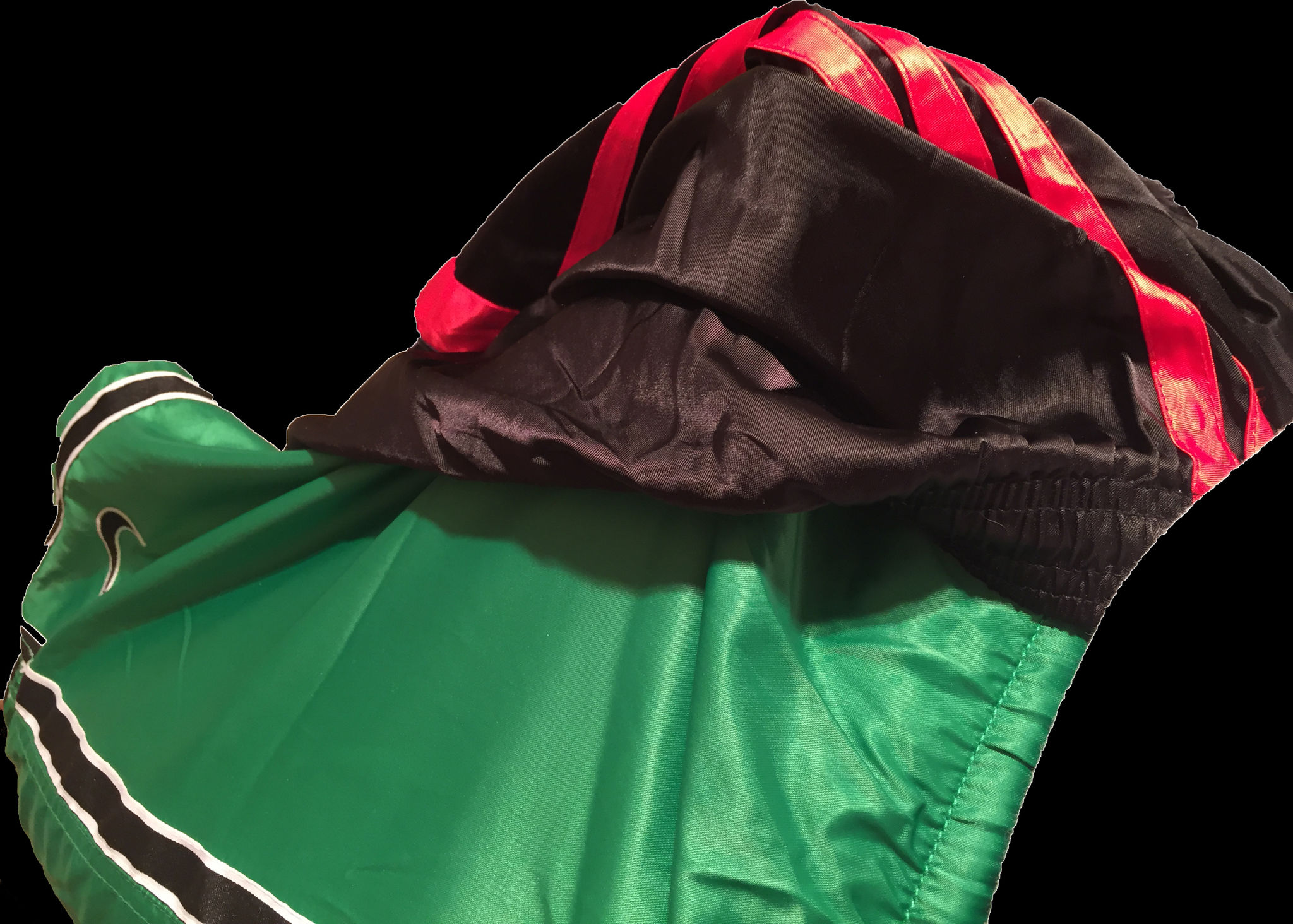 nylon shorts - adidas on nike 2