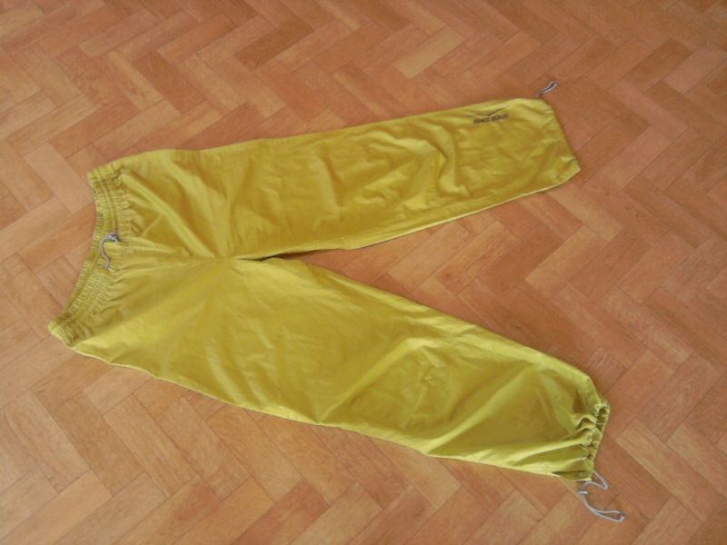 Shiny Venice Beach pants