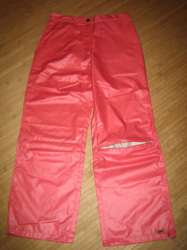 Shiny Venice Beach pants