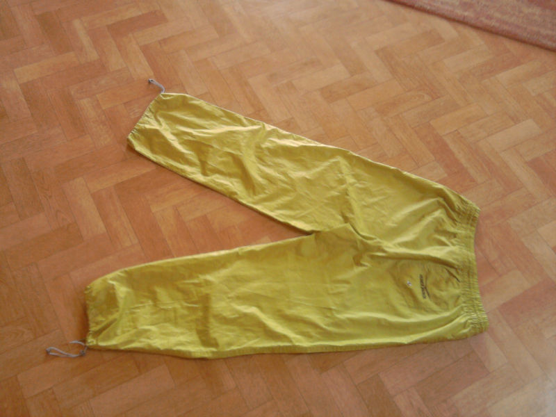 Shiny Venice Beach pants