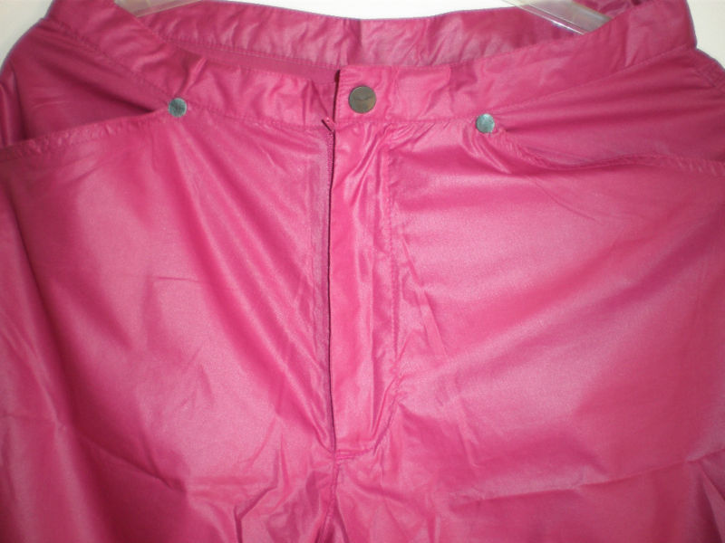 Shiny Venice Beach pants