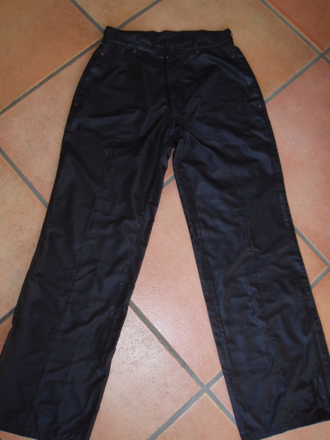 Shiny Venice Beach pants