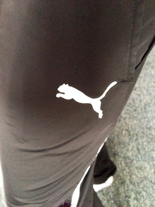 Sporty girl in Puma pants